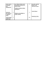 Paraugs 'Sporta stundas konspekts 4.a klasei', 4.