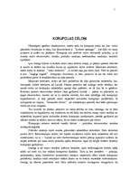 Referāts 'Korupcija', 5.