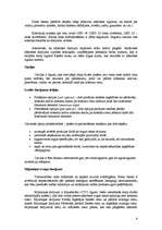 Konspekts 'Kapitāla tirgus finanšu instrumenti un dalībnieki', 6.