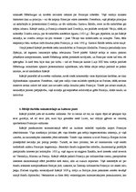 Referāts 'Suverēnas varas ideja un Rišeljē politika', 7.