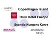 Prezentācija 'Scandinavian Hotels Comparison', 1.