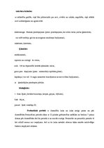 Konspekts 'Personības attīstības faktors: prenatālais un perinatālais periods', 3.