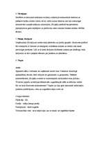 Konspekts 'Mārketinga pamatelementi aviokompānijā "Southwest Airlines"', 2.