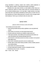 Referāts 'Motivācijas nozīme skolvadībā', 5.