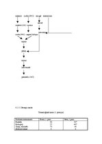Prakses atskaite 'Ēdināšanas uzņēmuma ēdienkartes sastādīšana', 13.