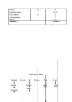 Prakses atskaite 'Ēdināšanas uzņēmuma ēdienkartes sastādīšana', 20.