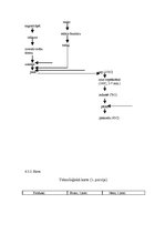 Prakses atskaite 'Ēdināšanas uzņēmuma ēdienkartes sastādīšana', 21.