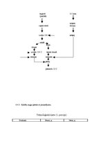 Prakses atskaite 'Ēdināšanas uzņēmuma ēdienkartes sastādīšana', 28.