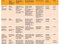 Konspekts 'Rotaļnodarbība āra vidē - Ķeram vēju', 2.