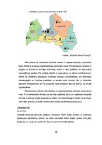 Diplomdarbs 'Nekustamā īpašuma sagatavošana pārvaldīšanai', 19.