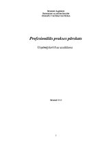Prakses atskaite 'Prakses atskaite', 1.
