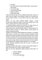 Prakses atskaite 'Prakses atskaite', 11.