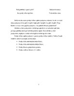 Referāts 'Patērētāju rīcību ietekmējošie faktori Latvijas degvielas uzpildes staciju tirgū', 7.