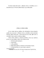 Referāts 'Patērētāju rīcību ietekmējošie faktori Latvijas degvielas uzpildes staciju tirgū', 22.