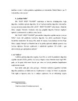 Referāts 'Patērētāju rīcību ietekmējošie faktori Latvijas degvielas uzpildes staciju tirgū', 30.