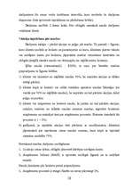 Referāts 'Vērtspapīri. Akcijas', 17.