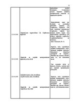 Prakses atskaite 'Pirmsdiploma prakses atskaite', 25.