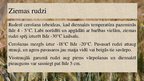 Prezentācija 'Ziemas rudzi, to vērtība un izmantošanas iespējas', 5.