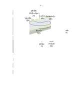 Referāts 'Tranzītpārvadājuma plūsmas caur Latviju', 63.