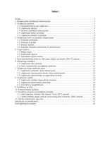 Biznesa plāns 'SIA "Burkšķis" biznesa plāns', 2.