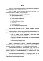 Biznesa plāns 'SIA "Burkšķis" biznesa plāns', 3.