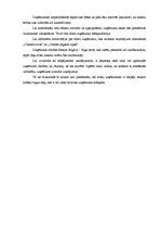 Biznesa plāns 'SIA "Burkšķis" biznesa plāns', 4.