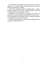 Biznesa plāns 'SIA "Burkšķis" biznesa plāns', 6.