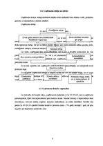 Biznesa plāns 'SIA "Burkšķis" biznesa plāns', 9.