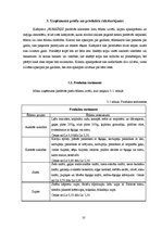 Biznesa plāns 'SIA "Burkšķis" biznesa plāns', 10.