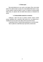 Biznesa plāns 'SIA "Burkšķis" biznesa plāns', 12.