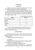 Biznesa plāns 'SIA "Burkšķis" biznesa plāns', 13.