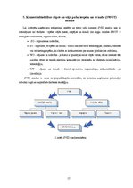 Biznesa plāns 'SIA "Burkšķis" biznesa plāns', 17.