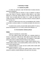 Biznesa plāns 'SIA "Burkšķis" biznesa plāns', 20.