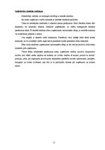 Biznesa plāns 'SIA "Burkšķis" biznesa plāns', 21.