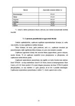 Biznesa plāns 'SIA "Burkšķis" biznesa plāns', 23.