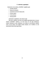 Biznesa plāns 'SIA "Burkšķis" biznesa plāns', 29.