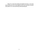 Biznesa plāns 'SIA "Burkšķis" biznesa plāns', 31.