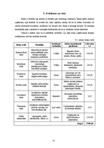 Biznesa plāns 'SIA "Burkšķis" biznesa plāns', 32.