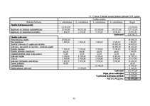 Biznesa plāns 'SIA "Burkšķis" biznesa plāns', 41.