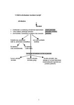 Konspekts 'Tiesību zinātnes pamati. Uzdevumi', 5.