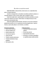 Referāts 'Sausās būves', 2.