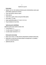 Referāts 'Sausās būves', 4.