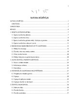 Diplomdarbs 'Basketbola žurnāla formāta izveide', 1.