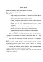 Diplomdarbs 'Basketbola žurnāla formāta izveide', 3.