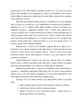 Diplomdarbs 'Basketbola žurnāla formāta izveide', 6.