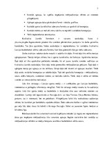 Diplomdarbs 'Basketbola žurnāla formāta izveide', 7.