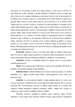 Diplomdarbs 'Basketbola žurnāla formāta izveide', 17.