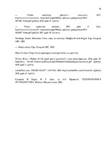 Diplomdarbs 'Basketbola žurnāla formāta izveide', 56.