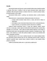 Referāts 'Uzņēmuma saimnieciskās darbības analīze', 2.