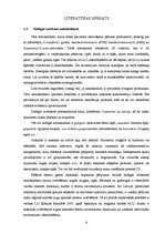 Diplomdarbs 'Polifenolo savienojumu noteikšana augos', 8.